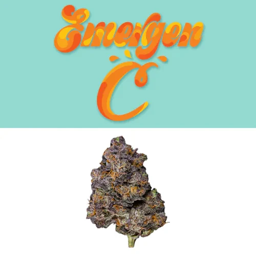 Emergen C - Seed Junkys Cut