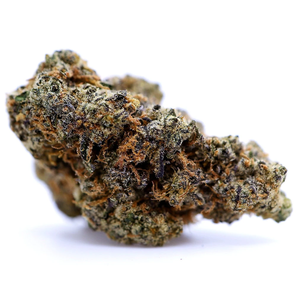 TrippleChocolateChip