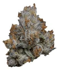 Lemon Cherry Gelato